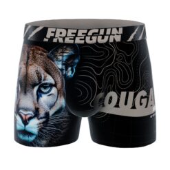 B04 Cou - Cougar