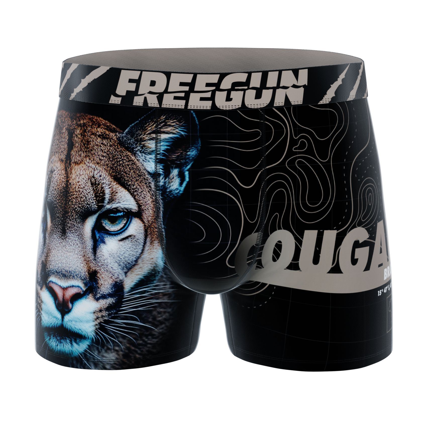 B04 Cou - Cougar