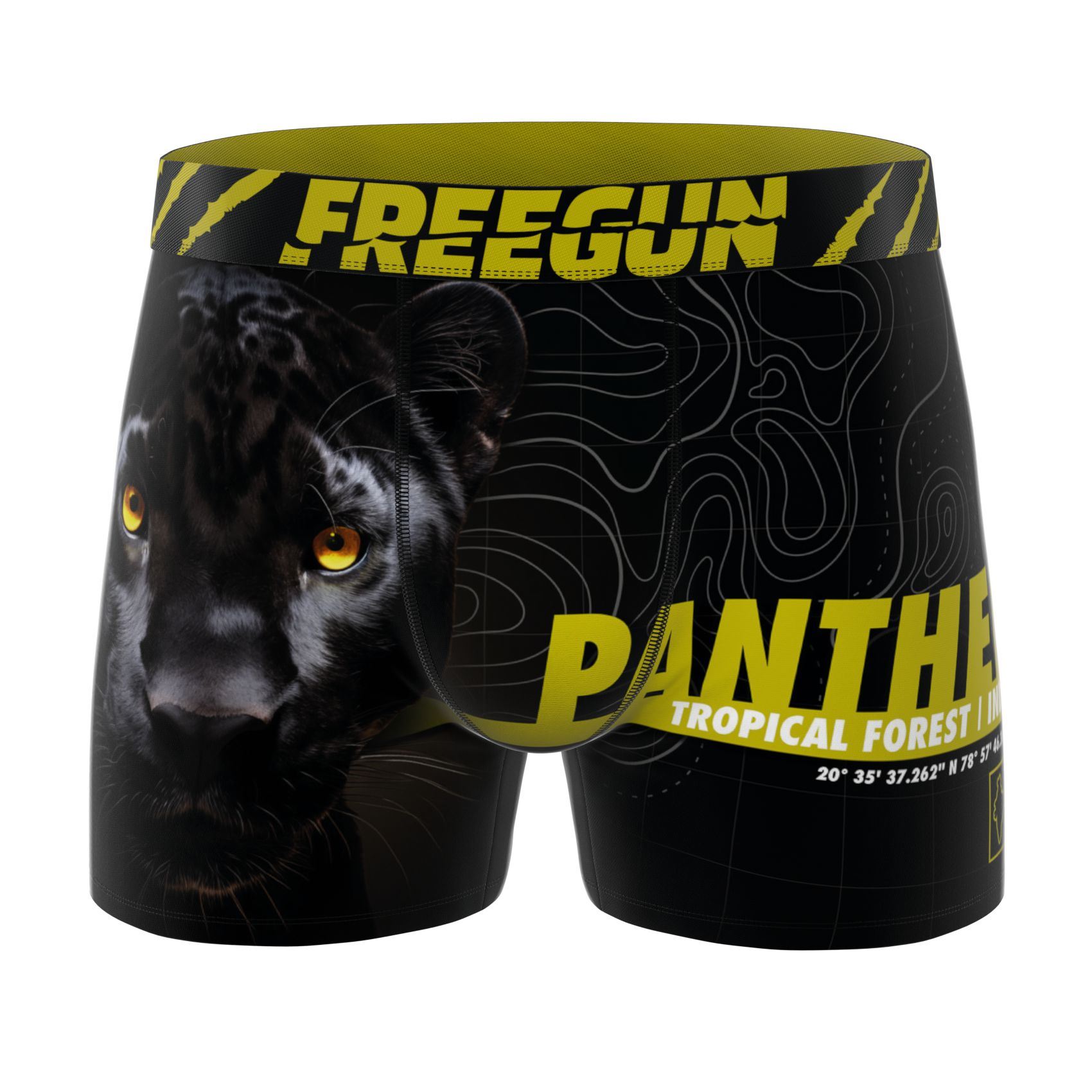 B04 Pan - Panter